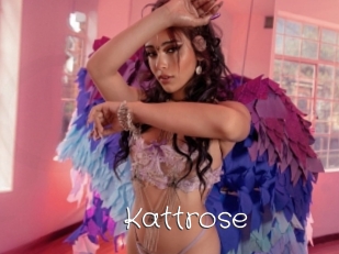Kattrose