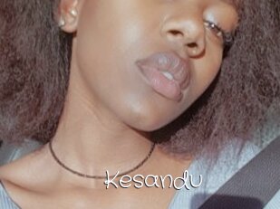 Kesandu