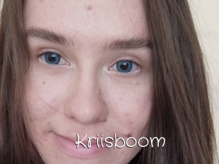 Kriisboom