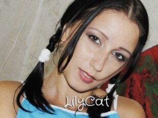 Lily_Cat_