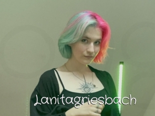 Lanitagriesbach