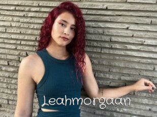 Leahmorgaan
