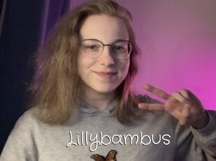 Lillybambus
