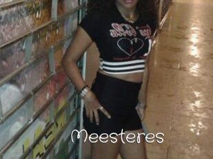 Meesteres