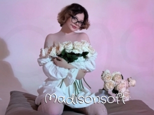 Madisonsoft
