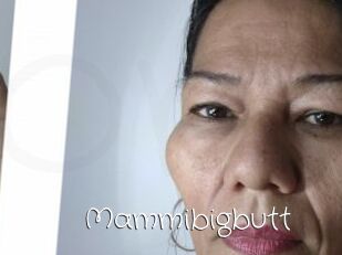 Mammibigbutt
