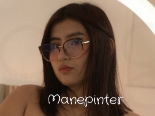 Manepinter
