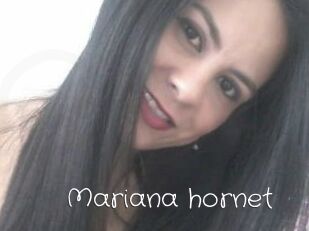 Mariana_hornet