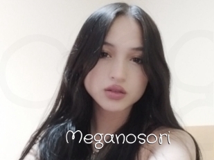 Meganosori