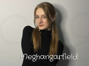 Meghangarfield