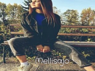 Mellisajo