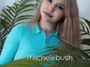 Michelebush