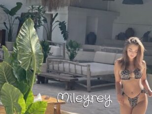 Mileyrey