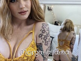 Morganallama