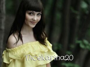 Nicekarina20