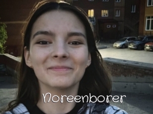 Noreenborer