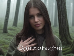 Odelinabucher