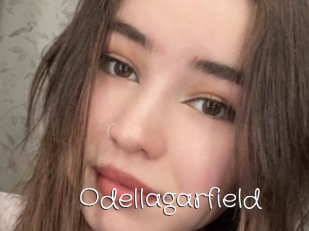 Odellagarfield