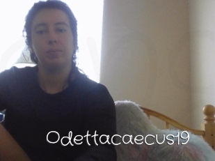 Odettacaecus19