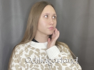 Odiliagarland