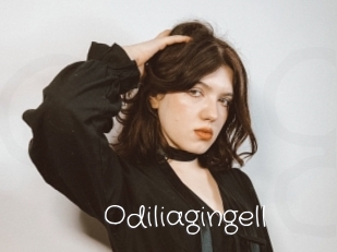 Odiliagingell