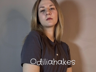 Odiliahakes