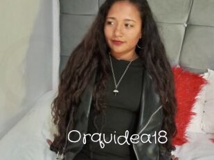 Orquidea18