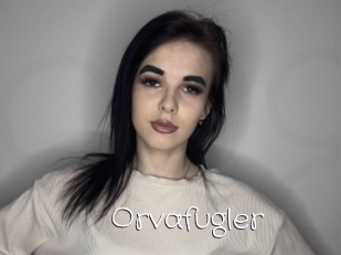 Orvafugler