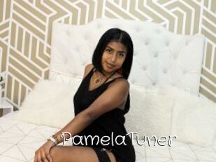 PamelaTuner