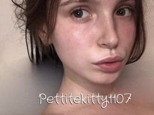 Pettitekitty1107
