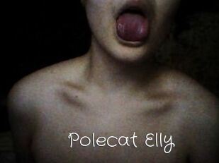 Polecat_Elly