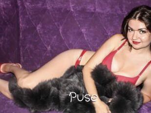 Puse