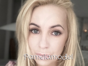 Pamelamodel