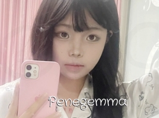 Penegemma