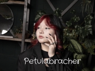 Petulabracher