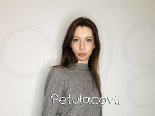 Petulacovil