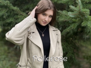 Pollerose