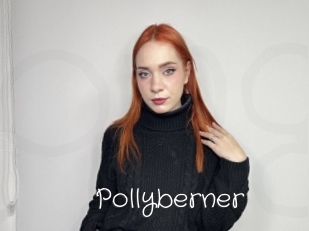Pollyberner