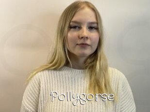 Pollygorse