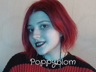 Poppyblom