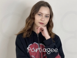 Portiagee