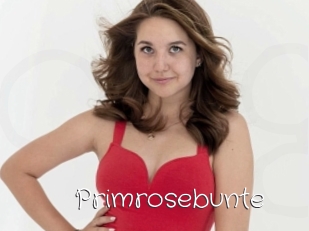 Primrosebunte