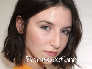 Primrosefurr