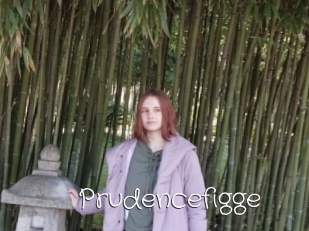 Prudencefigge