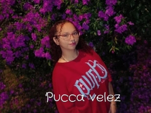 Pucca_velez