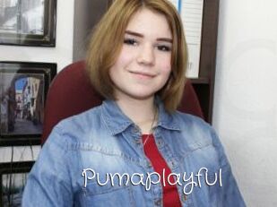 Pumaplayful