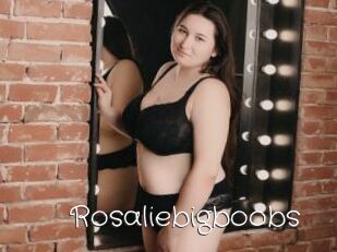 Rosaliebigboobs