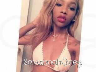 Savannah_Grey