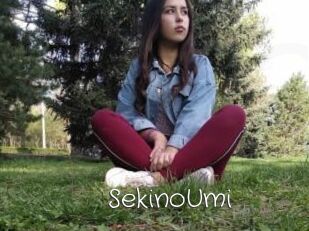 SekinoUmi