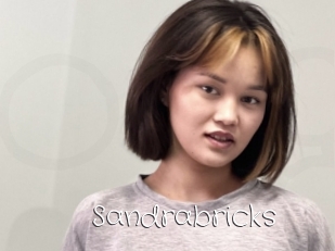 Sandrabricks